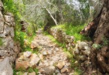 PR 1 SBA – Caminhos e Encruzilhadas de Ir à Fonte