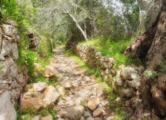 PR 1 SBA – Caminhos e Encruzilhadas de Ir à Fonte