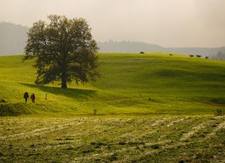 Suíça e Liechtenstein 2021 – Dia 2 – Zug