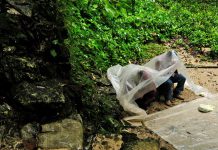 Mexico 2021 – Dia 08 – Villa Hermosa