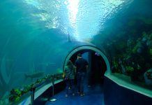 Mexico 2021 – Dia 10 – Vera Cruz