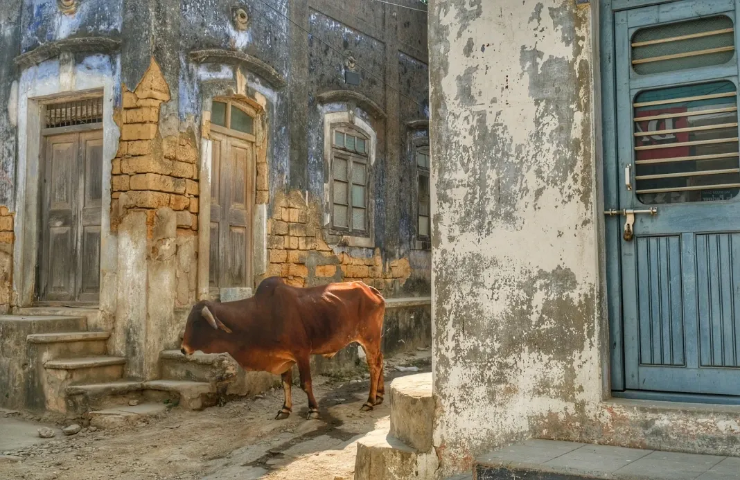 dia09-diu-14