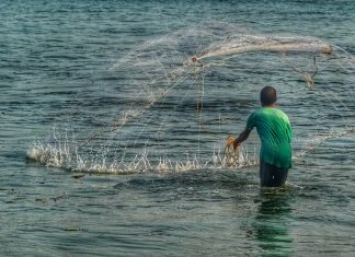 Índias 2023 – Dia 15 – Cochim