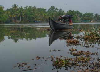 Índias 2023 – Dia 18 – Cochim