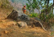 Índias 2023 – Dia 29 – Bandipur