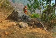 Índias 2023 – Dia 29 – Bandipur