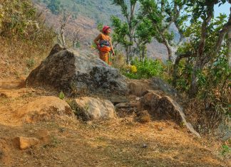 Índias 2023 – Dia 29 – Bandipur