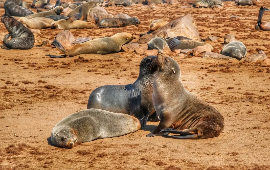 dia06-swakopmund-02