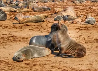 Namibia 2024 – Dia 06 – Swakopsmund