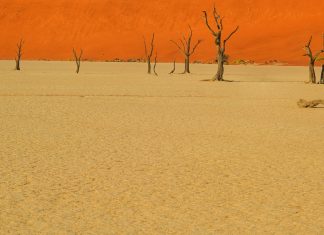 Namibia 2024 – Dia 10 – Namtib