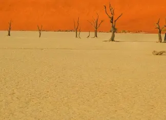 Namibia 2024 – Dia 10 – Namtib