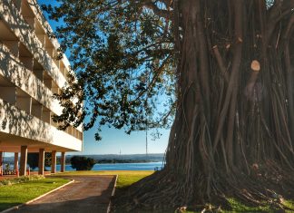 Brasil 2024 – Dia 04 – Goiás