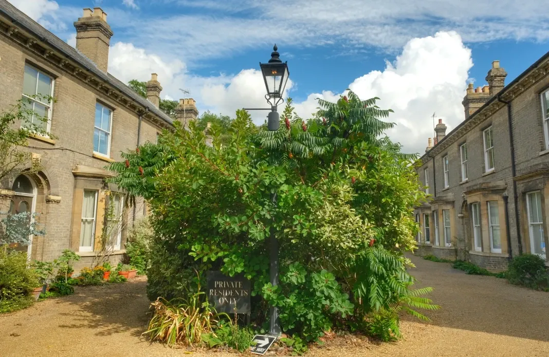 dia01-cambridge-09