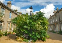 Cambridge 2024 – Dia 01