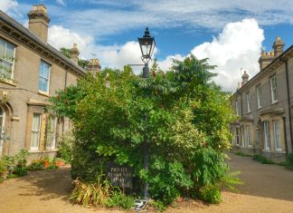 Cambridge 2024 – Dia 01