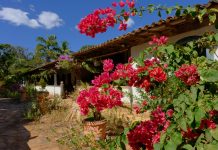 Brasil 2024 – Dia 09 – São Jorge