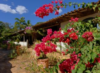 Brasil 2024 – Dia 09 – São Jorge
