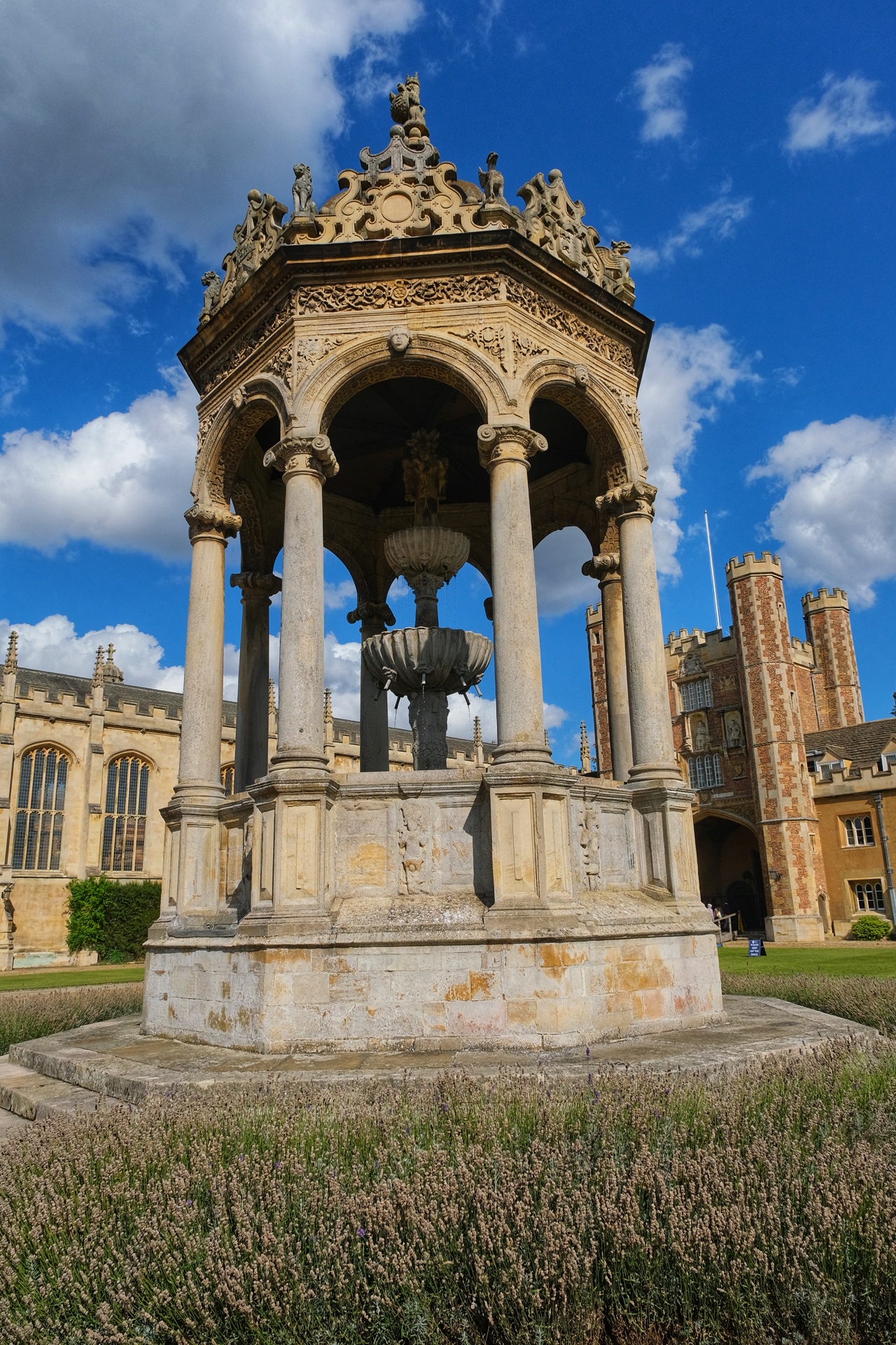 dia02-cambridge-18