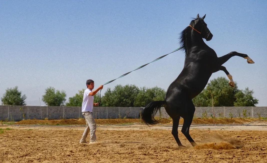 dia02-ashgabat-08