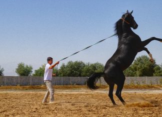 Turquemenistão 2024 – Dia 03: Ashgabat