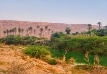 Yemen e Abu Dhabi 2025 – Dia 05 – Tarim