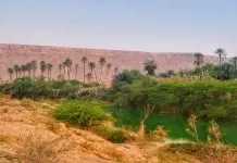 Yemen e Abu Dhabi 2025 – Dia 05 – Tarim