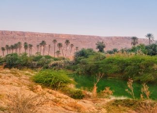 Yemen e Abu Dhabi 2025 – Dia 05 – Tarim