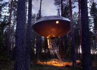 Hóteis Marados (12): Tree Hotel