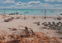 Tanzania 2025 – Dia 06 – Kizimkazi