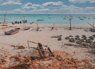 Tanzania 2025 – Dia 06 – Kizimkazi