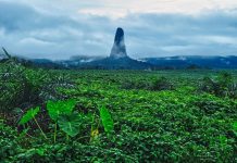 UNESCO Designa 26 novas Reservas da Bioesfera