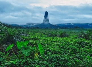 UNESCO Designa 26 novas Reservas da Bioesfera