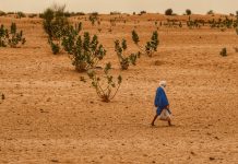 Mauritânia – Dia 04 – Néma