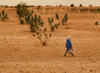 Mauritânia – Dia 04 – Néma