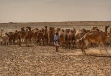 Mauritânia – Dia 06 – No Deserto