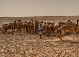 Mauritânia – Dia 06 – No Deserto