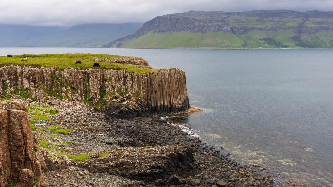 Ulva
