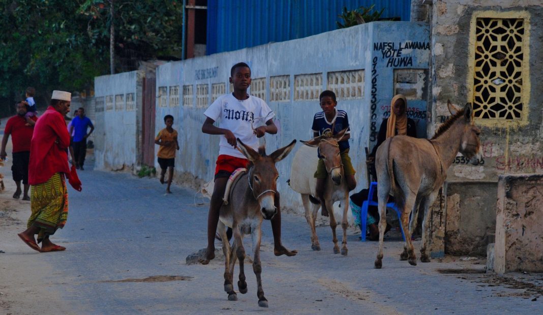 dia06-lamu-quenia-03