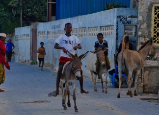África 2025 – Dia 06 – Quénia – Lamu