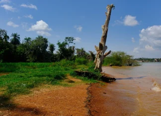 África 2025 – Dia 13 – Uganda – Entebe Jardim Botânico de Entebe