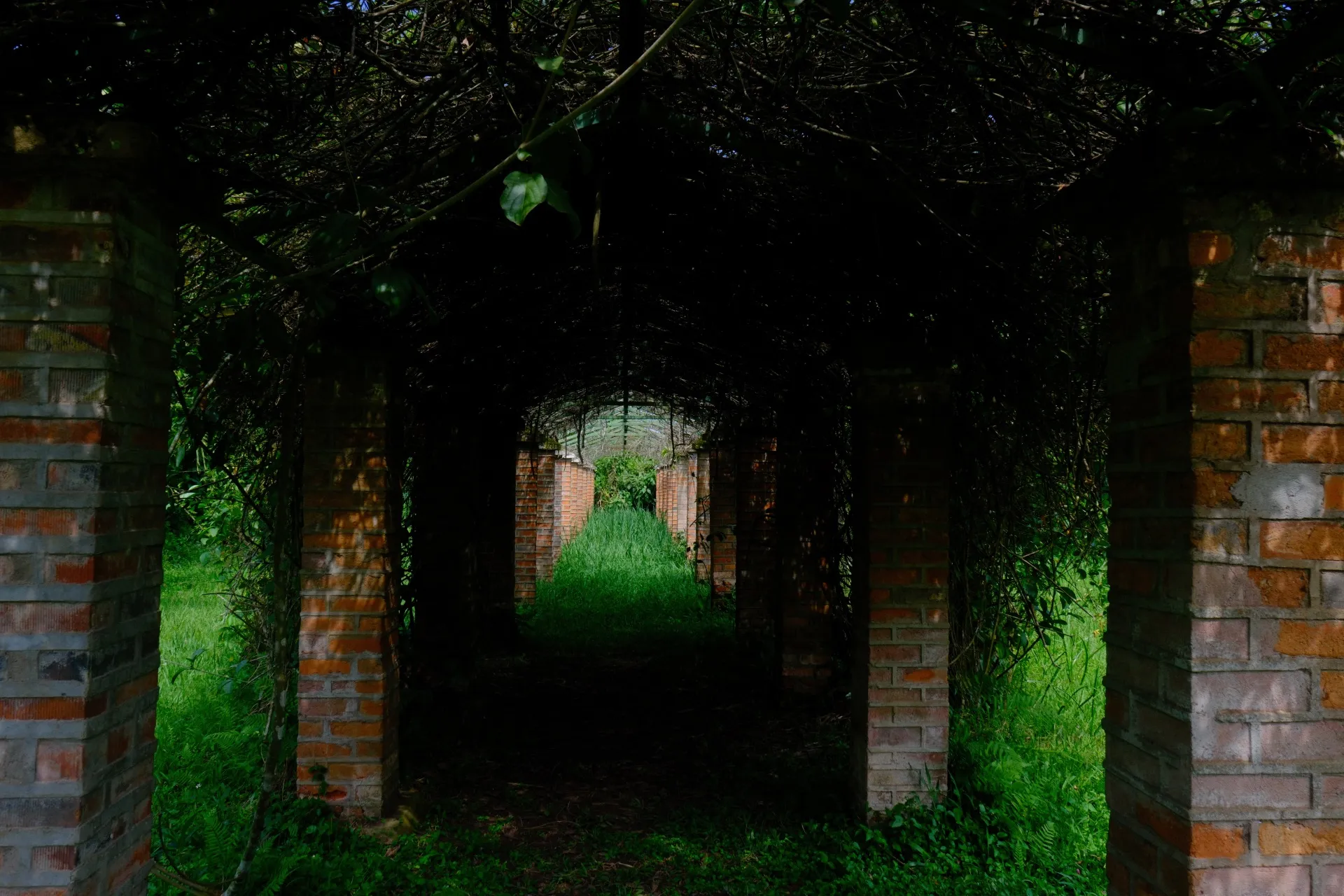 Uma imagem do Jardim Botânico de Entebe