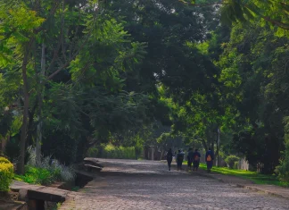 África 2025 – Dia 17 – Rwanda – Huye