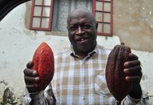 Fotoexposição: São Tomé e Princípe