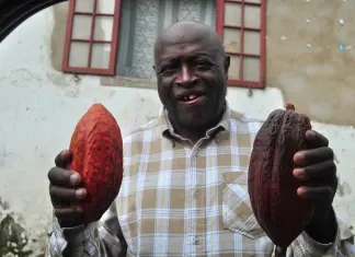 Fotoexposição: São Tomé e Princípe